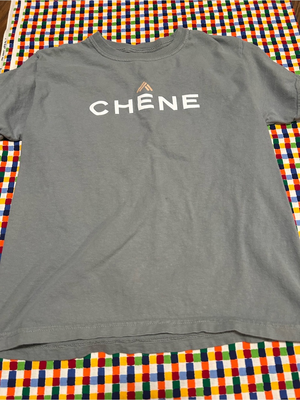 Boys CHÊNE Gray Logo Tee L